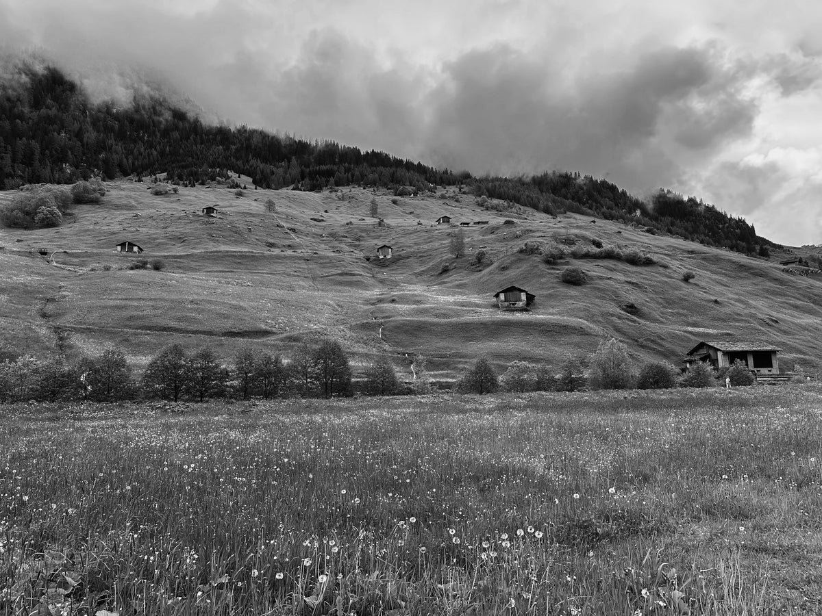 green laboratorium swiss country side
